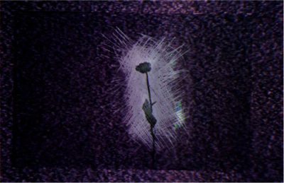 flower.gif (95191 bytes)